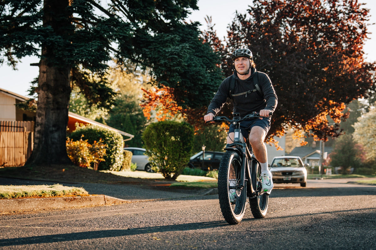 Aventure 3 Step-Through Ebike
