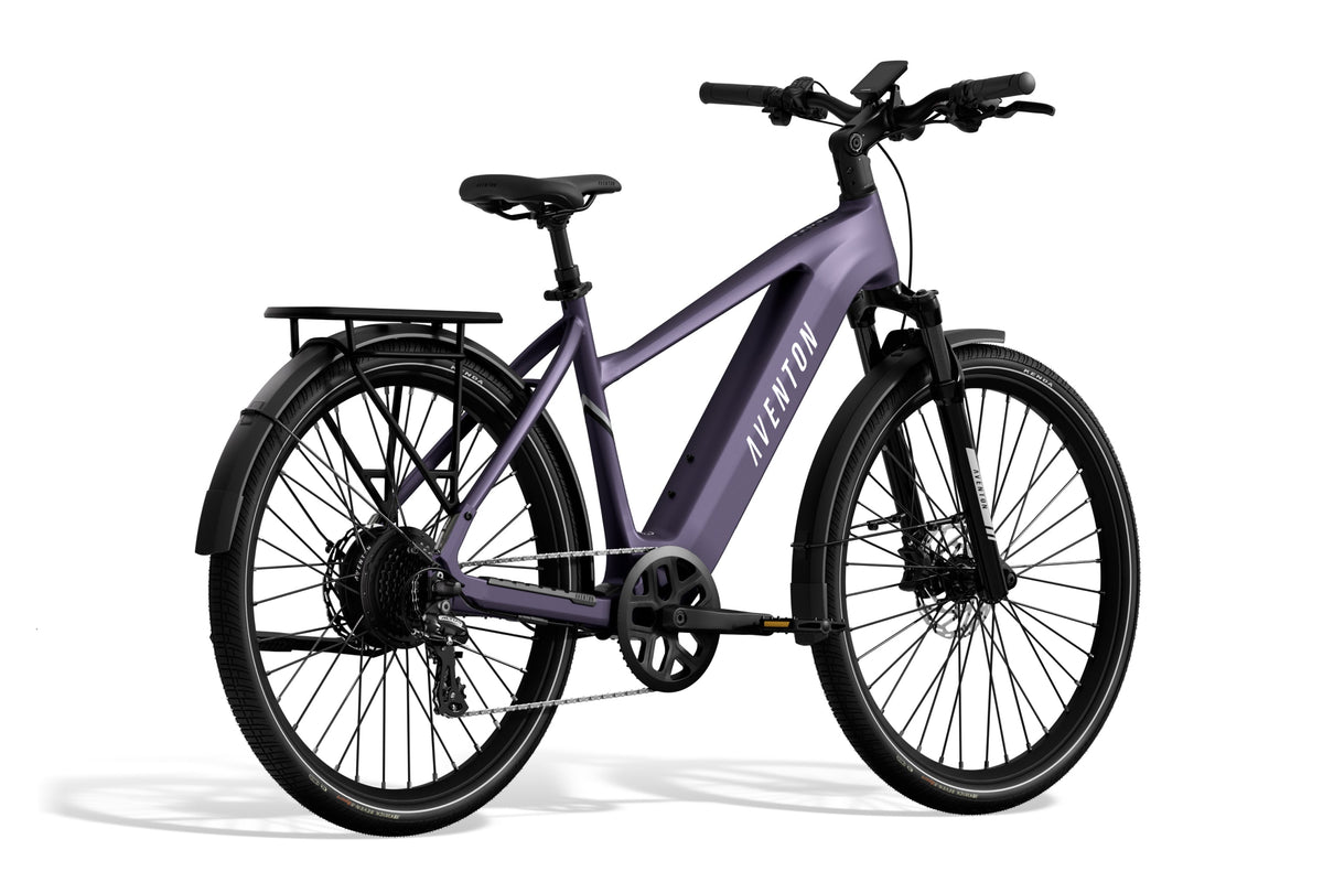 Level 3 Ebike