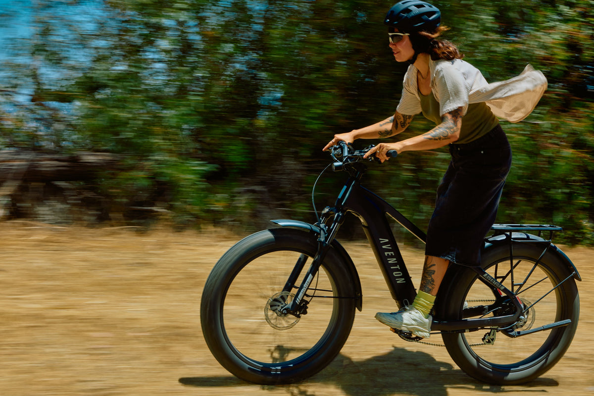 Aventure 3 Step-Through Ebike