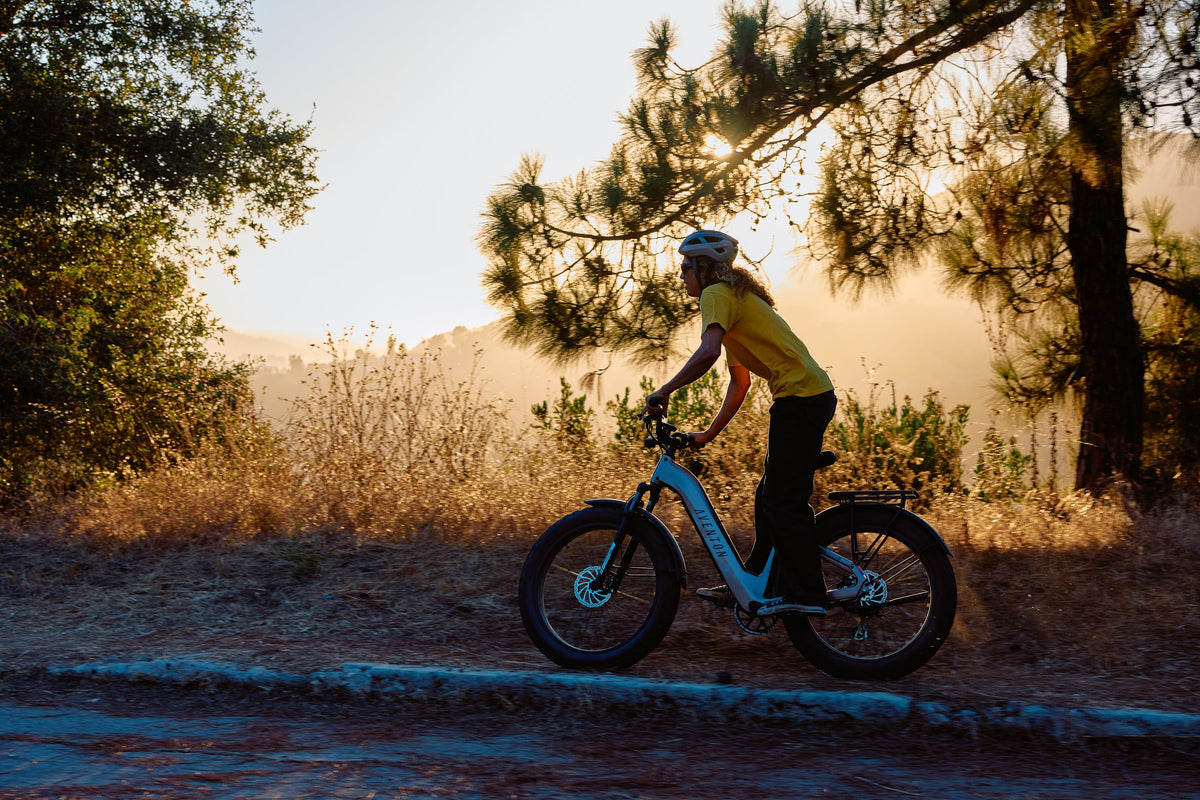Aventure 3 Step-Through Ebike