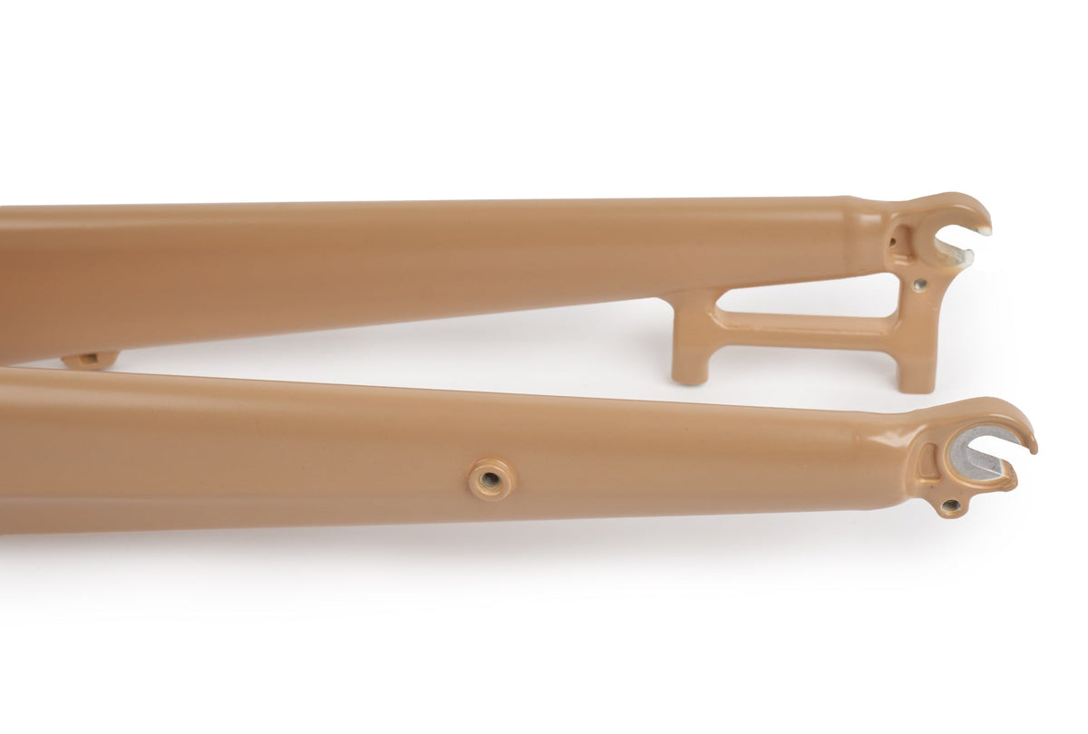 Aventon Fork