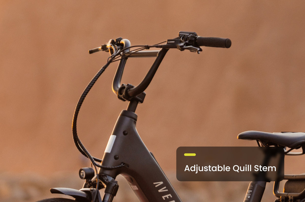 Abound LR Ebike