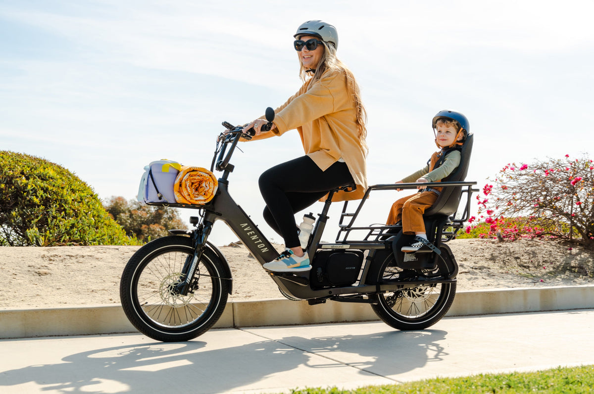 Abound LR Ebike