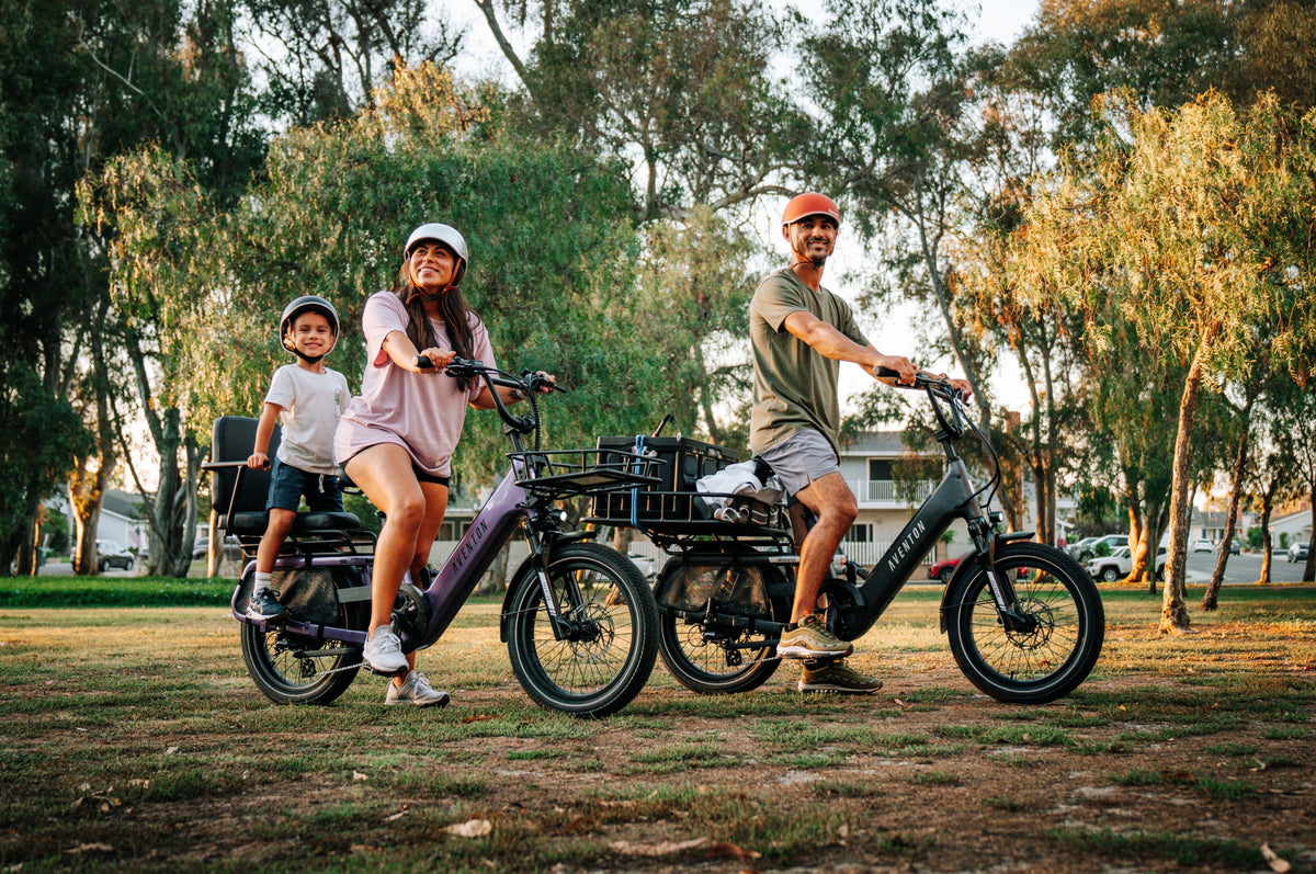 Abound SR Ebike