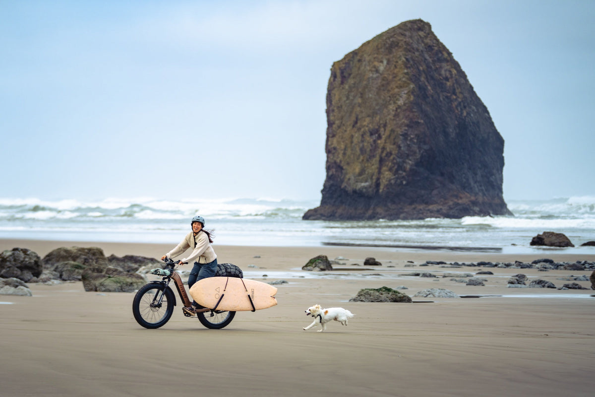 Aventure 3 Step-Through Ebike