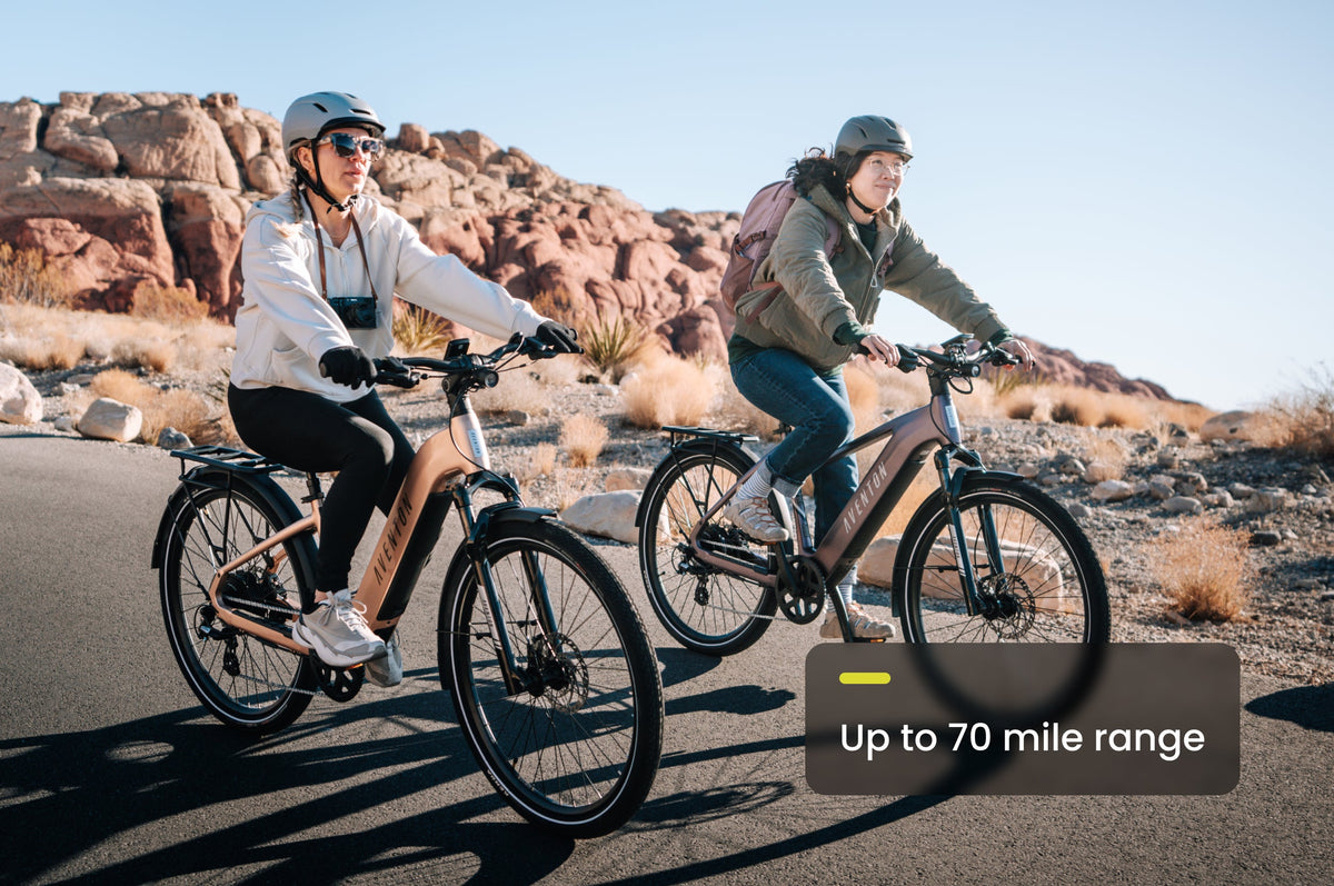 Level 3 Step-Through Ebike