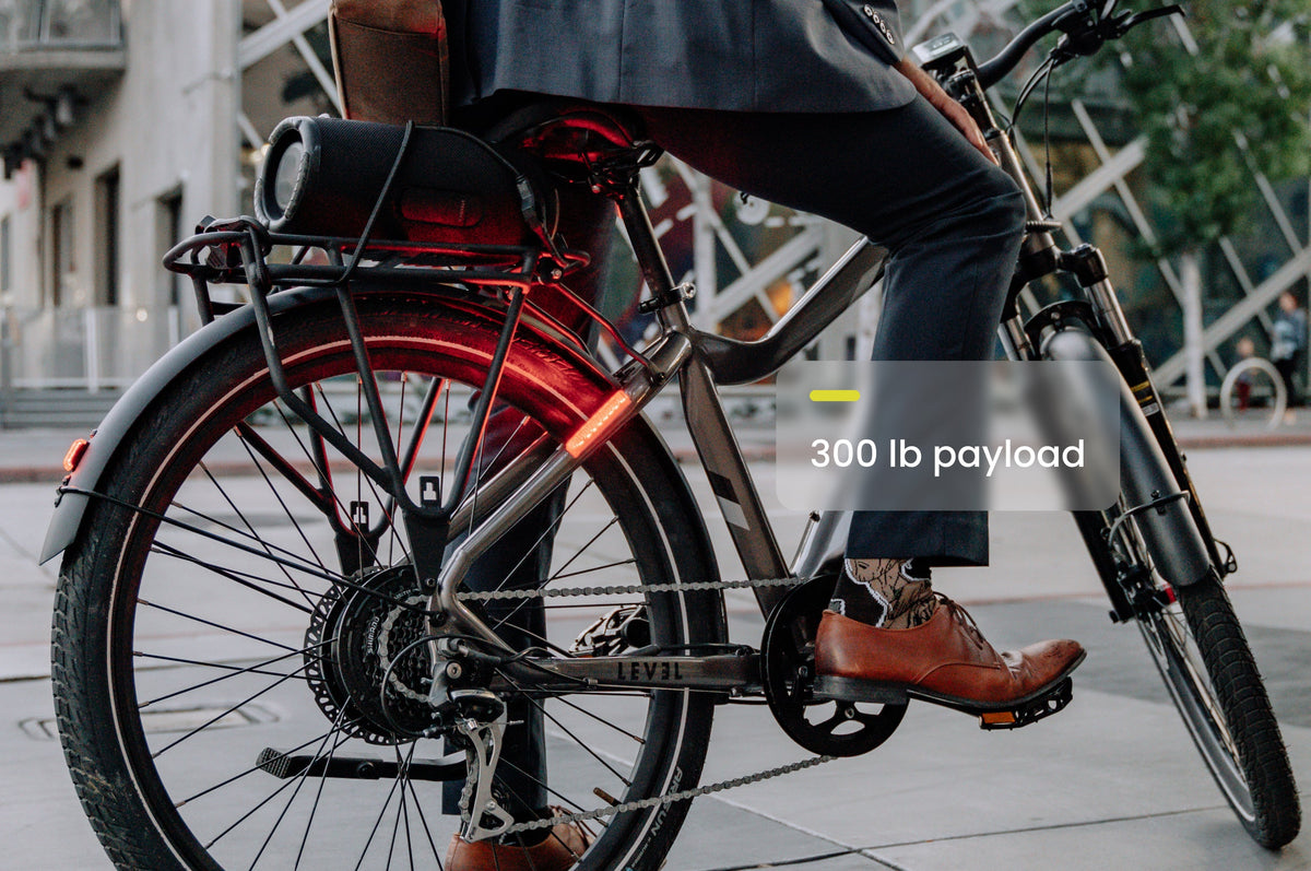 Level 2 Ebike