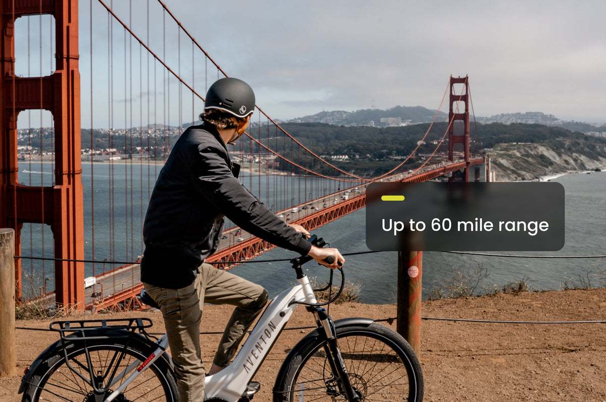 Level 2 Step-Through Ebike