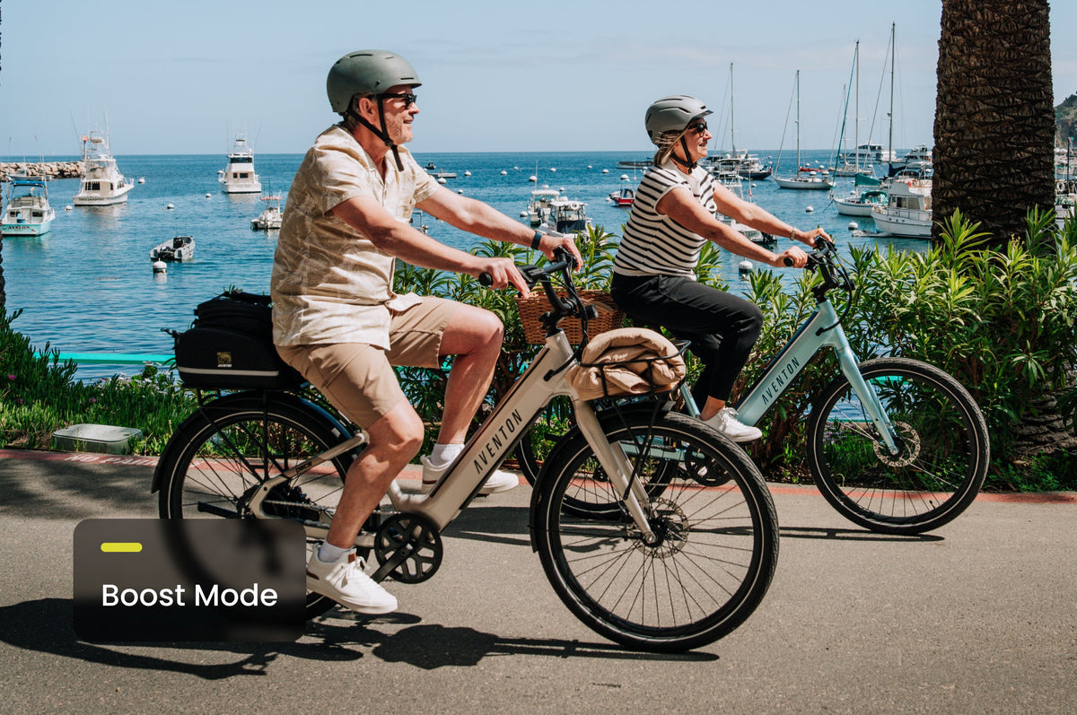 Pace 4 Step-Through Ebike