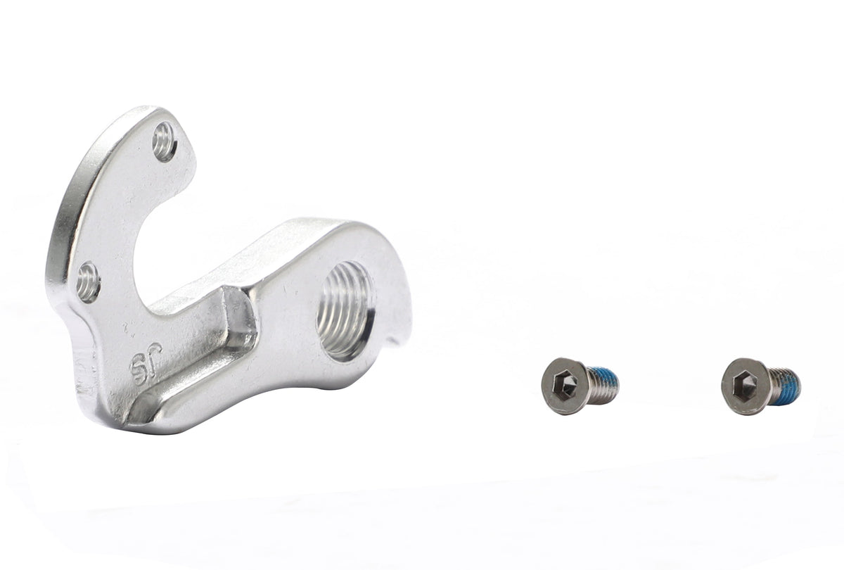 Aventon Derailleur Hanger